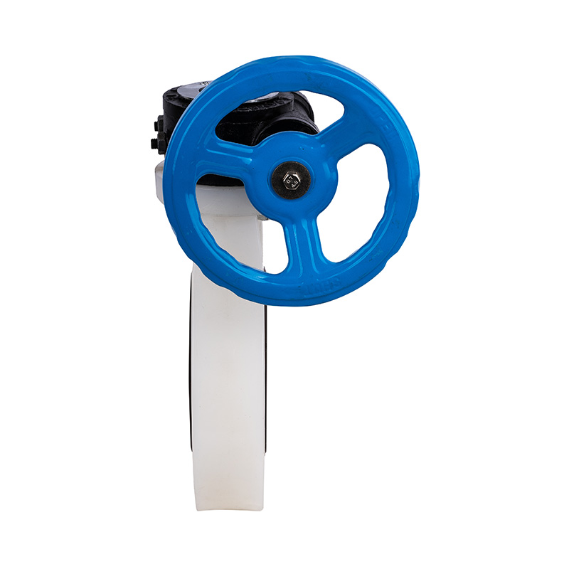 PVDF D371X-10F Šnekový škrtiaci ventil DN32-1000 GB štandard