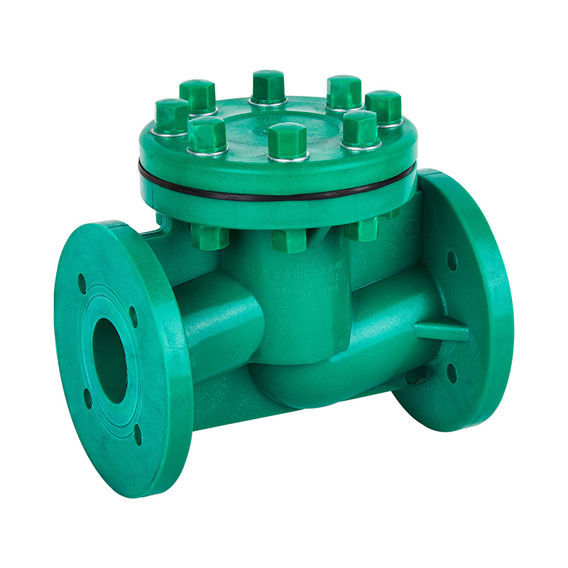 FRPP H41F-10S Životný typ spätného ventilu DN40-80 GB štandard